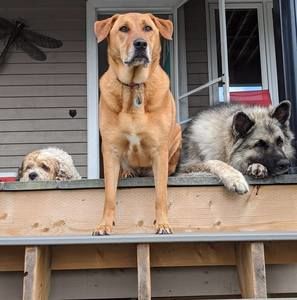 Meet your Posher, Pam